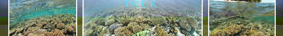 Fonomu Island Coral Reefs, Chuuk FSM. 