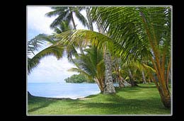 Blue Lagoon Resort Excellent Value. 
