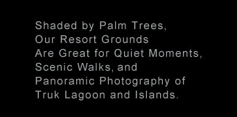 Enjoy The Scenery of Truk Lagoon. 