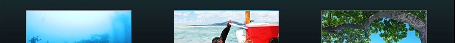 Scuba Diving-Tech Diver Services In Truk Lagoon, Chuuk FSM