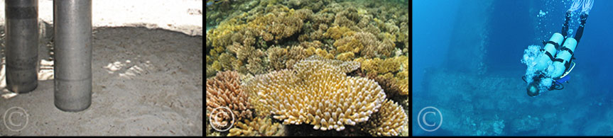 Chuuk Diving Selection Insight: Truk Lagoon Live-Aboard or Land Based Diving? Chuuk, FSM.